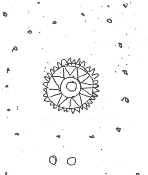 Sketch of Kek, with a pointed sun in the centre with small circles spread around the drawing.