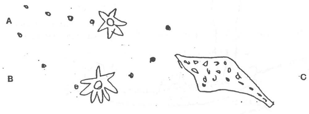 Sketch of constellations drawn with small circles mapping out the shapes.