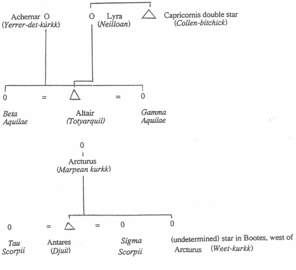 A map of the kin ties represented by stars among the Booyong.
