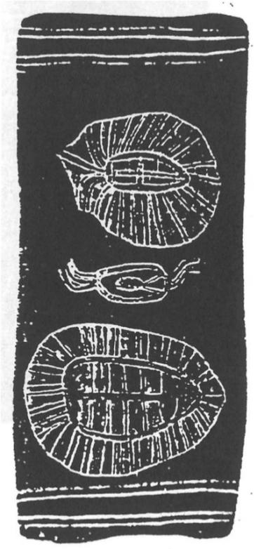 Bark painting of the Magellan Clouds.