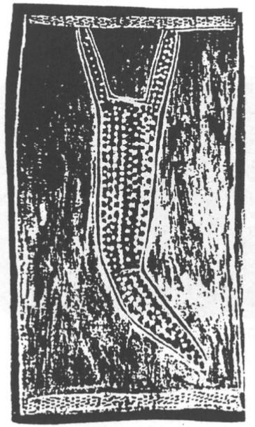 Bark painting of the Scorpion.