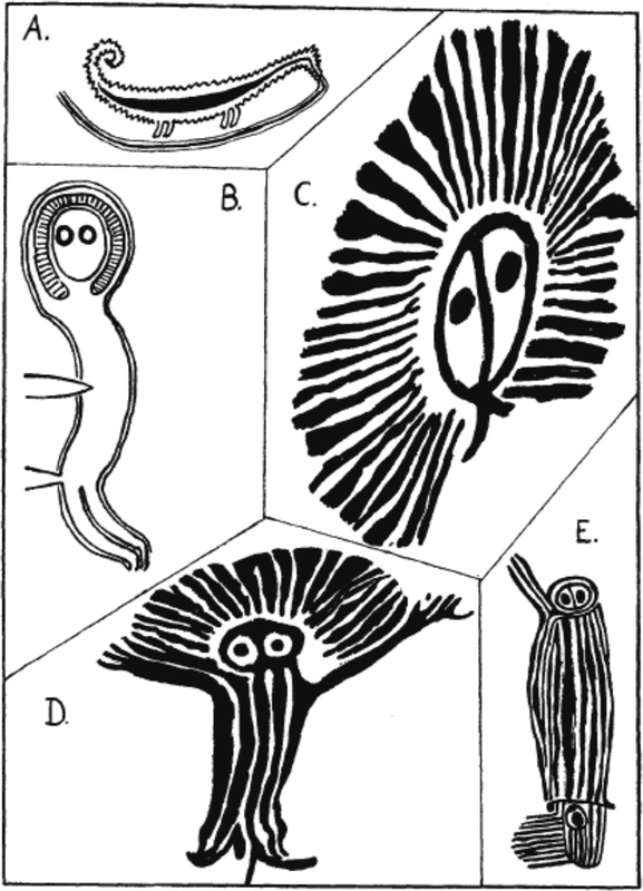 Five images of the Rainbow Serpent.