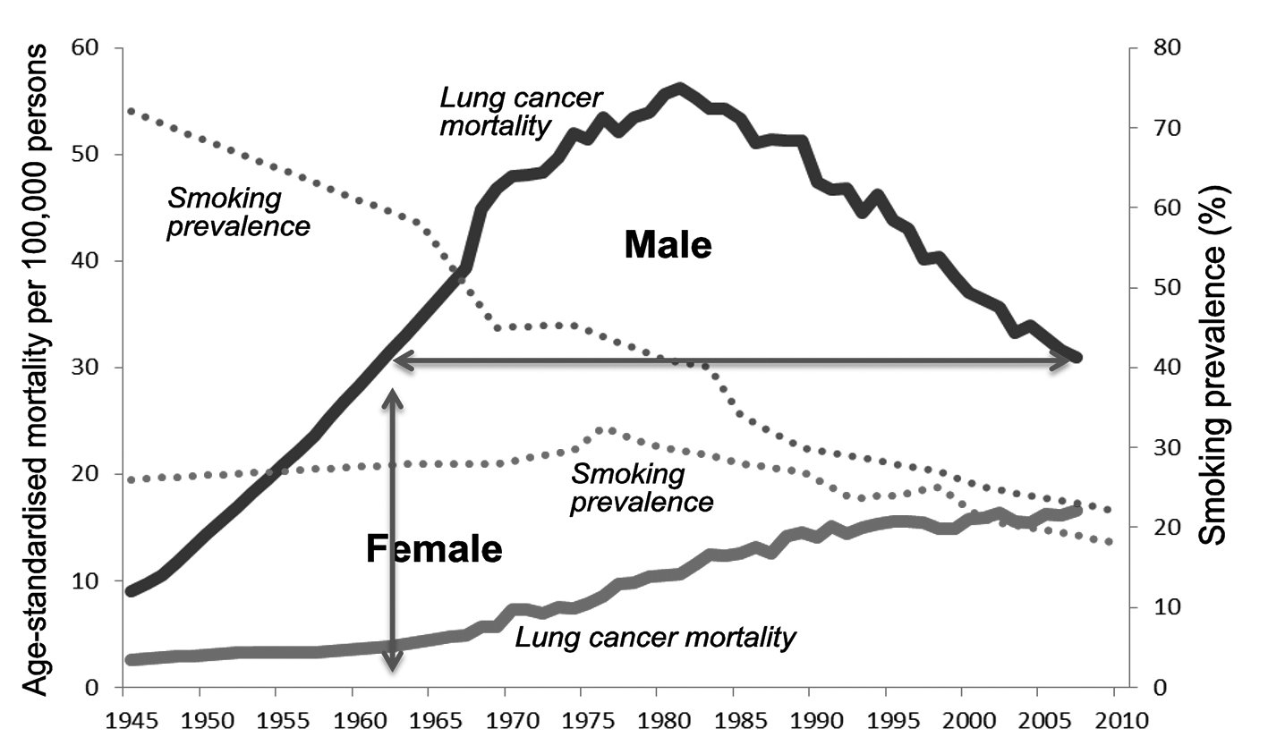 A line graph showing the male lung cancer mortality rates from 1945 - 2010. They are at the lowest in 1945 and peaked around 1980.