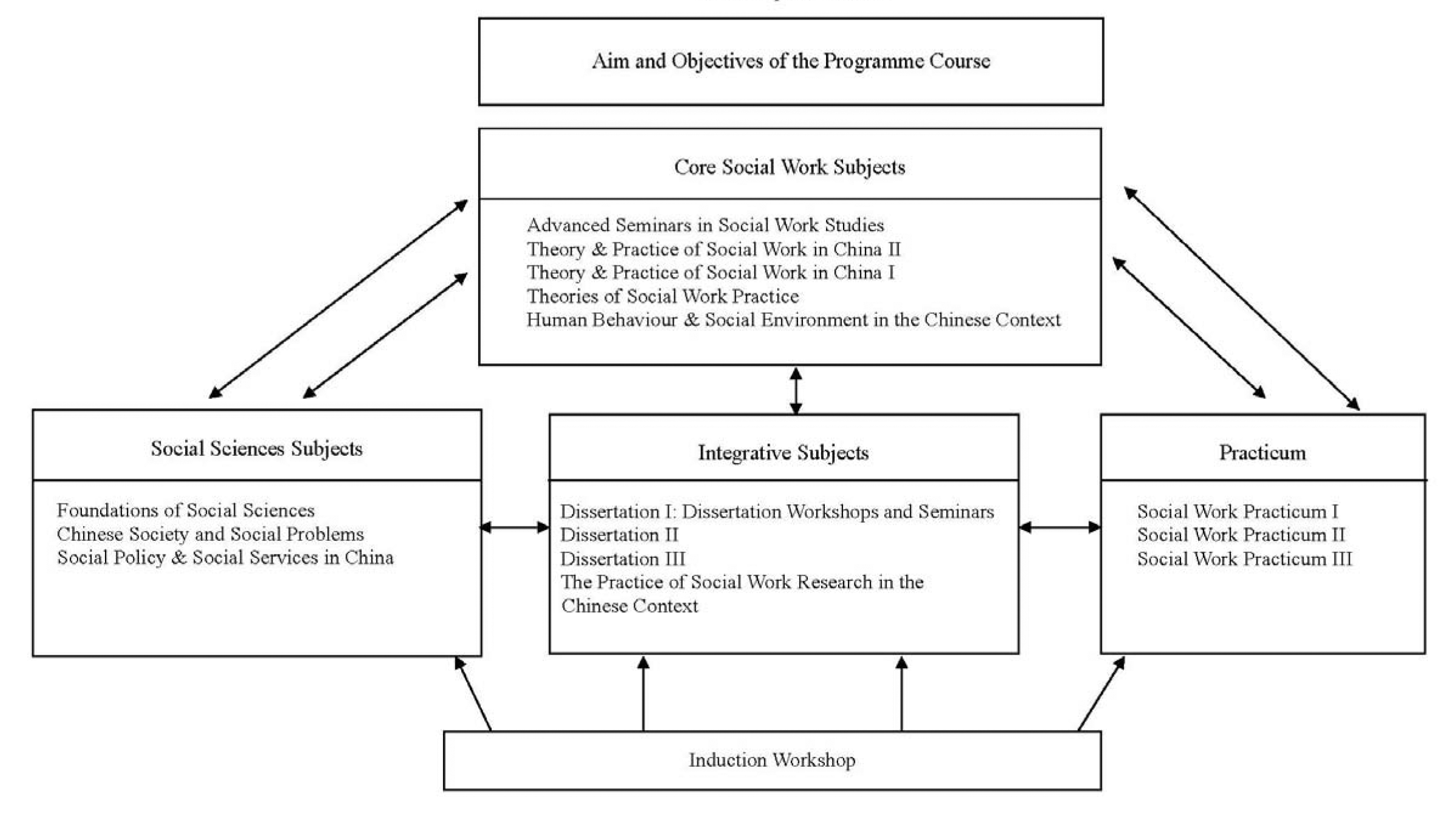 A diagram showing the curriculum of the MSW (China) program: a conceptual model