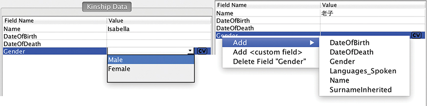 Figure 4.1. A screenshot from KinOath shows how custom values may be added to fields to add to default values. The example field shown is Gender, with default values Male and Female.