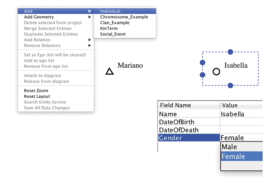 Figure 4.12. When adding an individual, a menu is shown which allows the user to edit options such as Name, Date of Birth, Date of Death and Gender for that individual.