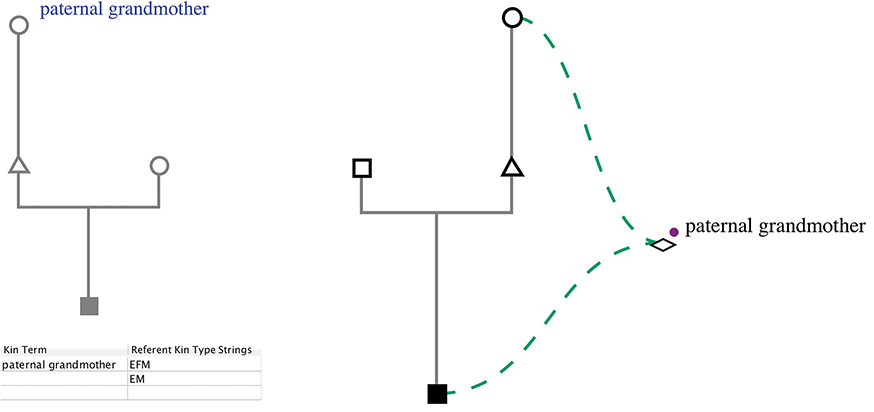 Figure 4.16. A screenshot from KinOath shows how the kin term 'paternal grandmother' may be used in a project diagram.