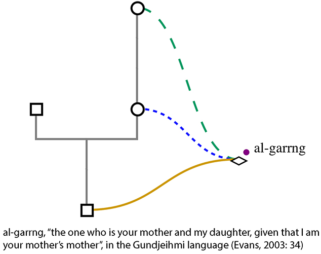 Figure 4.17. A screenshot from KinOath shows three relation lines linking to the triangular kin term 'al-garrng'. The descriptive text below, from Evans, 2003: 34, reads: 'al-garrng, "the one who is your mother and my daughter, given that I am your mother's mother", in the Gundjeihmi language.'