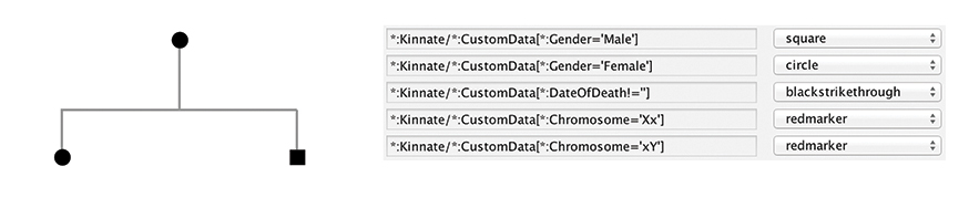 Figure 4.26. A table shows how a square may be used to represent a male entity and a circle may represent a female entity. An example diagram with circles and squares is also shown.