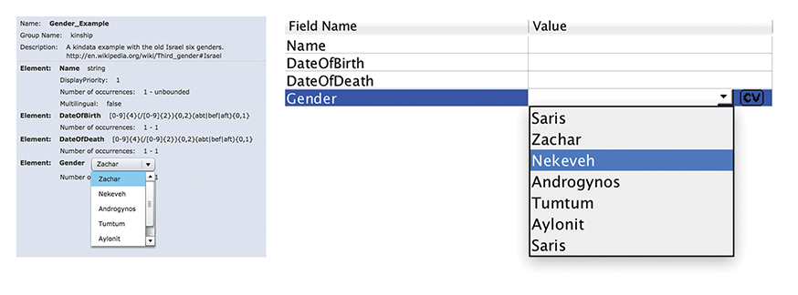 Figure 4.2. A screenshot from KinOath displays the Gender field with custom values Saris, Zachar, Nekeveh, Androgynos, Tumtum, Aylonit and Saris. 