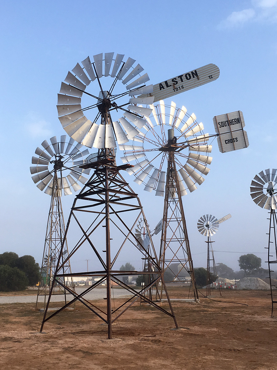 Southern Cross windmills at the Penong Windmill Museum in South Australia, Australia.