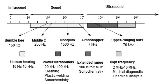 Image of graph showing infrasound is inaudible by human hearing and has a lower sound frequency that bumble bees, mosquitos and grasshoppers.
