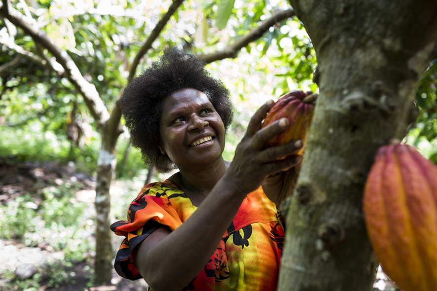Woman smiling and picking a cocoa pod from a cocoa tree.