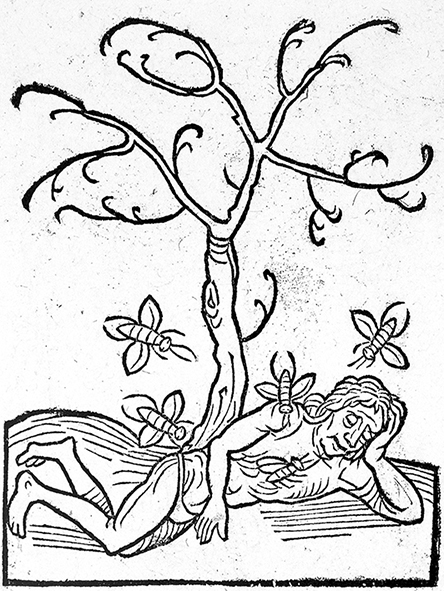 Line drawing from the 15th Century showing a man lying down by a tree while insects fly around him.