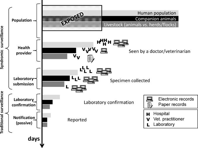 Graph showing how syndromic surveillance works more effectively in detecting more cases of outbreak with a greater sample size. For example, it shows how populations of humans, companion animals and livestock, or health providers can be monitored, as well as laboratory submissions. This graph also demonstrates that detection can occur at an early stage in comparison to traditional surveillance methods that require a smaller sample size and at a later outbreak stage.
