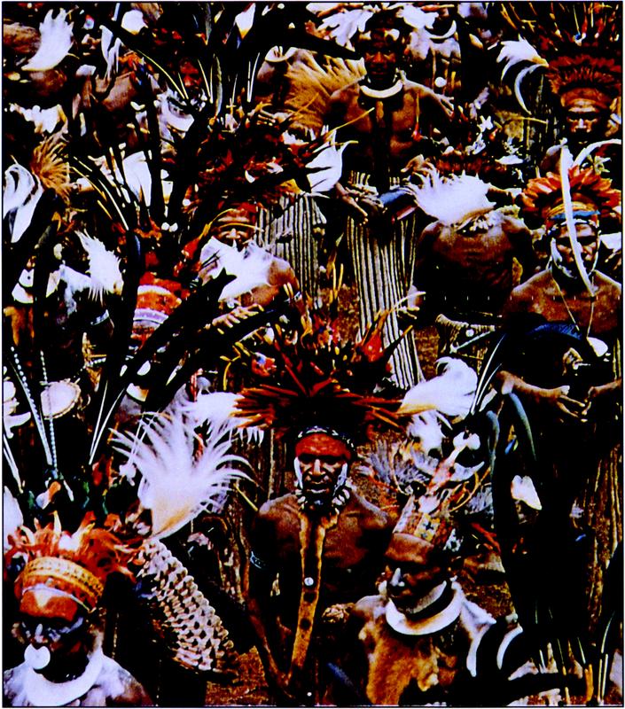 Photo showing many men from Wahgi Valley in indigenous wear rather densely populating the frame. They are all looking at the south-west direction, and are all donned in vibrant-coloured headpieces with bright-orange plumes, long black feathers that sprawl up high in the air as well as white, soft feathers. The men are bare-bodied, with various tribal neckpieces and jewellery including a white nose plate as seen on the man on the bottom left corner. 