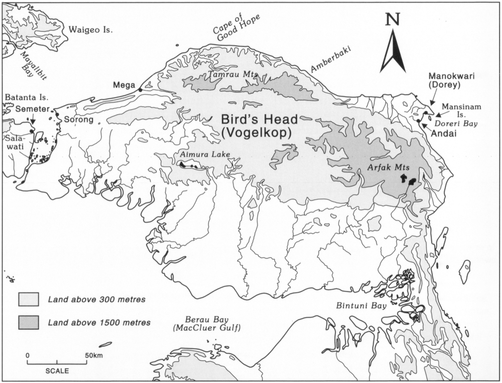 The Bird’s Head (Vogelkop) map at 1 inch to 50km scale, with areas shaded light grey to represent land above 300 metres and dark grey representing land above 1500 metres. Numerous islands, regions and sites such as Sorong, Mega, Cape of Good Hope, Arfak Mountains and Bintuni Bay are noted. The areas around Tamrau Mountains and Arfak Mountains are above 1500 metres above water.