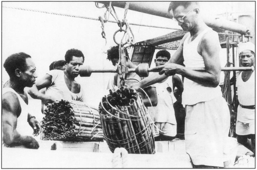Black and white photograph showing seven men wearing white t-shirts and sleeveless tank tops on board of one coastal vessel. One of them is Go Siang Kie, a bespectacled Chinese businessman of fit build in white knee-length shorts, standing on the right side of the frame, is seen measuring a large tied-up bunch of massoy barks on a scale. The others appear to be locals of darker skin complexion, all of sturdy build and solid biceps, indicating the heavy-labour work they take on as their vocation, watching on Go Siang Kie. The second man from the left in the white t-shirt appears to be holding onto the strings tied onto the bunch of massoy bark. They all appear to have focused and serious expressions on their faces. 
