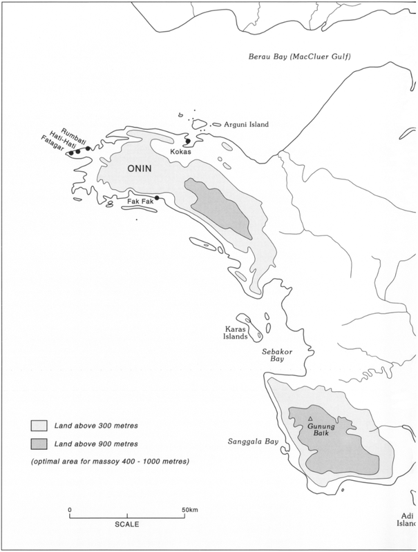 Two-page spread of map at 50km scale showing the Onin area to the far upper-left on the first page, and Kowiai area on the second page towards the bottom-right. Most of the Onin area is shaded light grey, indicate land above 300 metres, with a smaller portion shaded dark grey, noting land above 900 metres. Kowiai is largely above 300 metres, with sprinklings of smaller areas inland above 900 metres. The optimal area for massoy is also cited to be be 400 to 1000 metres.