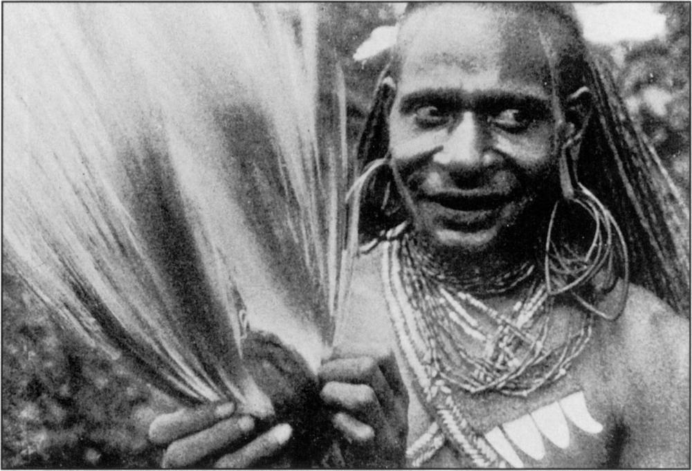 Candid photograph in black and white of a Marind-anim man holding up Greater Bird of Paradise skins in his hands. The skins appear to be a large, flat mass of long and thin feathered plumes, with the outer sides in light colour and inner sides in a dark shade. The man has long braided dreads slightly pulled back and flowing from the back of his head, a wide Melanesian nose and dark complexion, with his ear lobes pulled and stretched down by the weight of multiple large round hooped earrings, - with some shaped like raindrops - that touch his beaded necklaces that are bound on the skin of his neck and spread down to the top of his chest, along with four pendants stuck side by side which look like four large cartoonish teeth sticking out of gums. He has a braided strap with chevron patterns criss-crossed over his chest. His eyes are peered to the right side, and his mouth is slightly opened with a smile on his face.