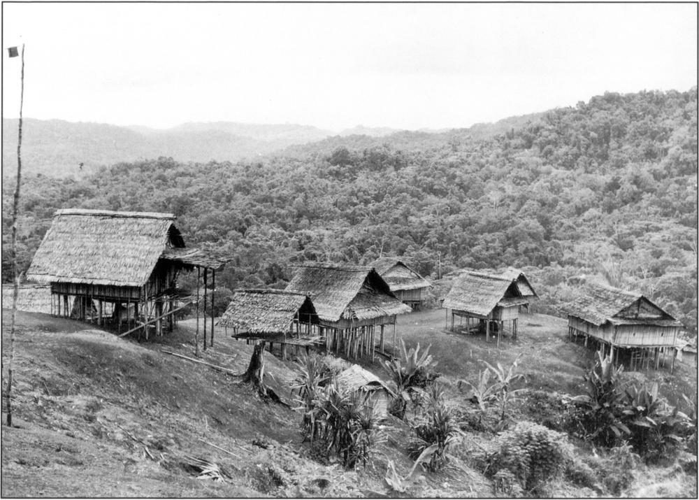 Black-and-white photograph of seven elevated longhouse supported by stilts and housed with A-shape straw thatched roofs situated close to one another and spreading across the frame. They sit on the dirt grounds of the highlands. Dense bushland is seen in the background as well as the hilly and bucolic landscape. At the foreground is a slightly depressed slope, with some short banana trees bunched in several clusters towards the bottom right of the photograph. A very tall and slim pole peers into the frame on the far left, with a very small piece of cloth hanging on its side towards the top-left.
