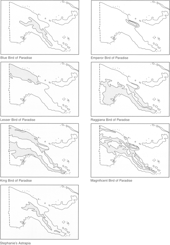 Seven maps showing the natural distributions of the main species of birds shaded in grey in German New Guinea for the European plume trade. Starting from the first map from left to right and top to bottom: The Blue Bird of Paradise, found in the middle in-land of the south-eastern strip of German New Guinea. The Emperor Bird of Paradise, circled on the coastal region and in-land on the north-east. The Lesser Bird of Paradise, taking up a fair chunk of the northern area that is also adjacent to the border separating the Dutch New Guinea. The Raggiana Bird of Paradise is naturally distributed across the majority of the central and south-eastern edges. The King Bird of Paradise can be found distributed on the northern area and the edge of the south-eastern coast, bleeding in-land towards the middle of the island and along the edge of Dutch New Guinea. The Magnificent Bird of Paradise can be found in various parts of German New Guinea inland of the strip of the island, including a ring in the region towards the eastern coast. Stephanie’s Astrapia is noted to be distributed inland towards the eastern and south-eastern tip of German New Guinea. 