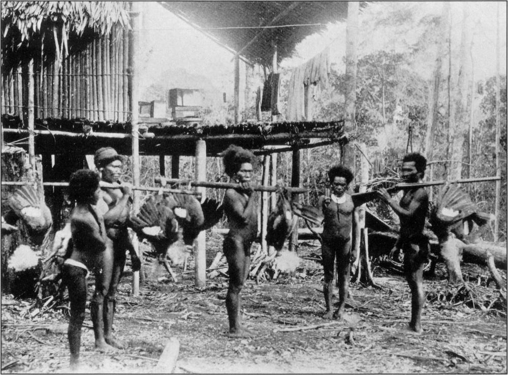 Black and white photograph of five local hunters, each with the birds they caught hung on long thin logs or rifles perched on their shoulders. There are five dead birds in view, with at least one hanging lifelessly on each end of the stick or rifle. The birds appear to be fairly small with smooth feathers just cover their bodies, with their heads appearing to be of short, thick, light-coloured, furry rounded bush – like a fluffed-up afro. They are men of dark skin complexion, wearing only loincloths and tribal jewellery. They are standing in front of an elevated stilt hut which appears to be have a leaf-filled thatched roof and clothes hanging on a line attached on the front porch. There are trees filling the background. The hunters are facing different directions, except for the man standing right in the centre of the frame, who is looking straight into the camera with serious eyes.