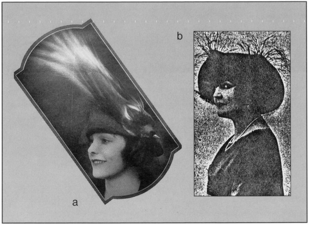 Two black and white photographic portraits of ladies wearing hats adorned with plumes of paradise. The first lady has a small hat with a very long plume that is dark in the bottom and lighter in the end, while the second lady, though in a very grainy production of the photograph, is seen to be wearing has a medium-sized hat with singular black plumes splaying above along the top brim of her hat.