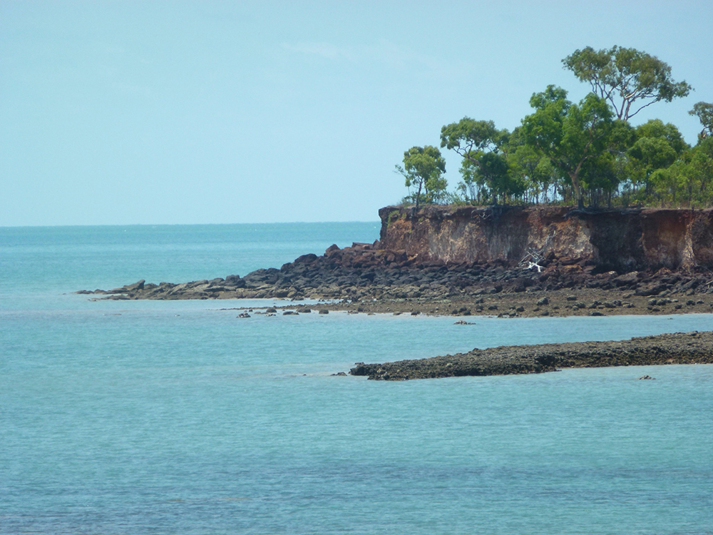Landscape photo of the foreshore of South Goulburn Island. Shrubbery dominates the photo's right-hand side. As your eyes move across towards the left side of the photo, the cliff edge turns into rocky foreshore and then open sea.