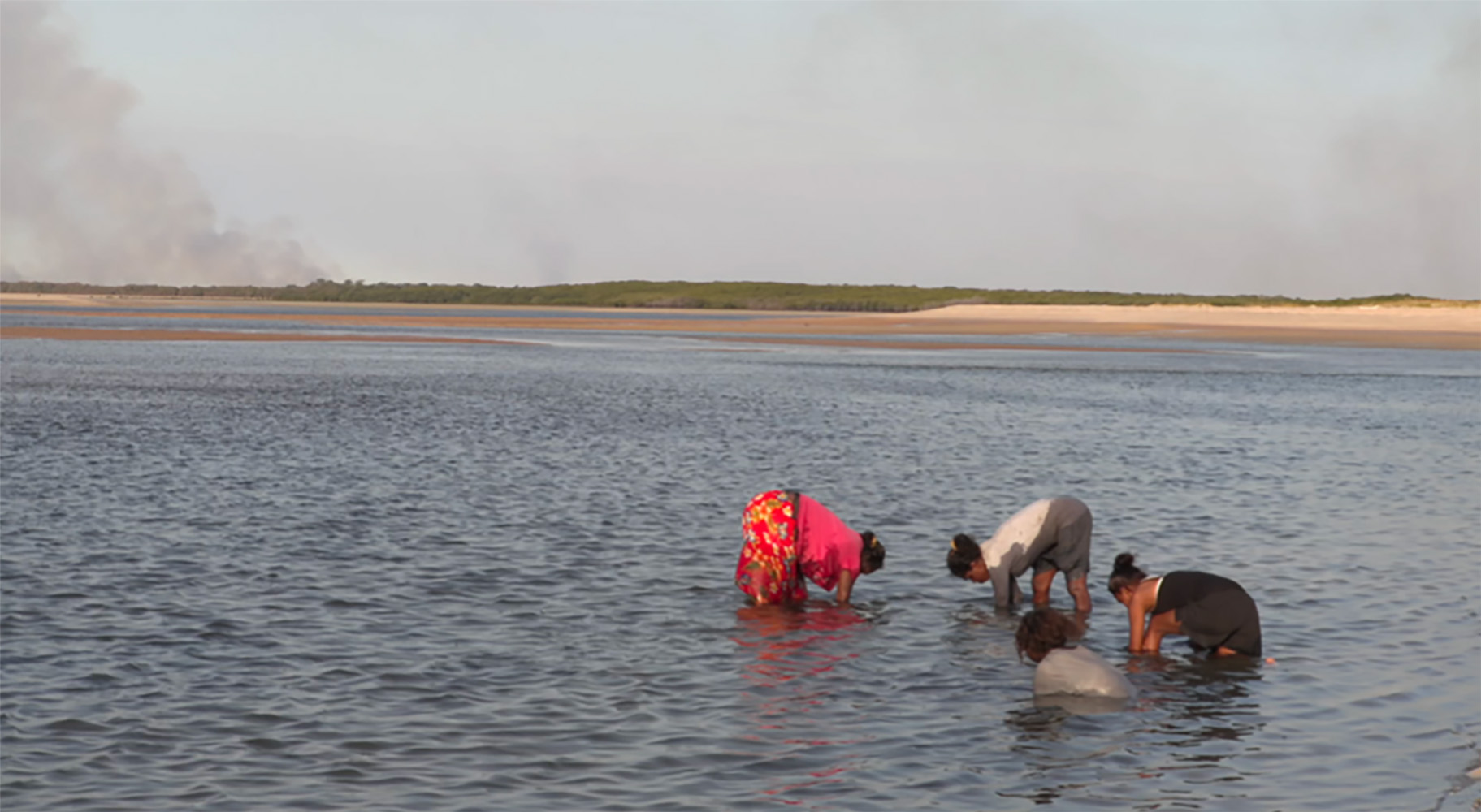 Four people, calf deep in water, lean over to pick up shells. A beach and headland are visible in the background.