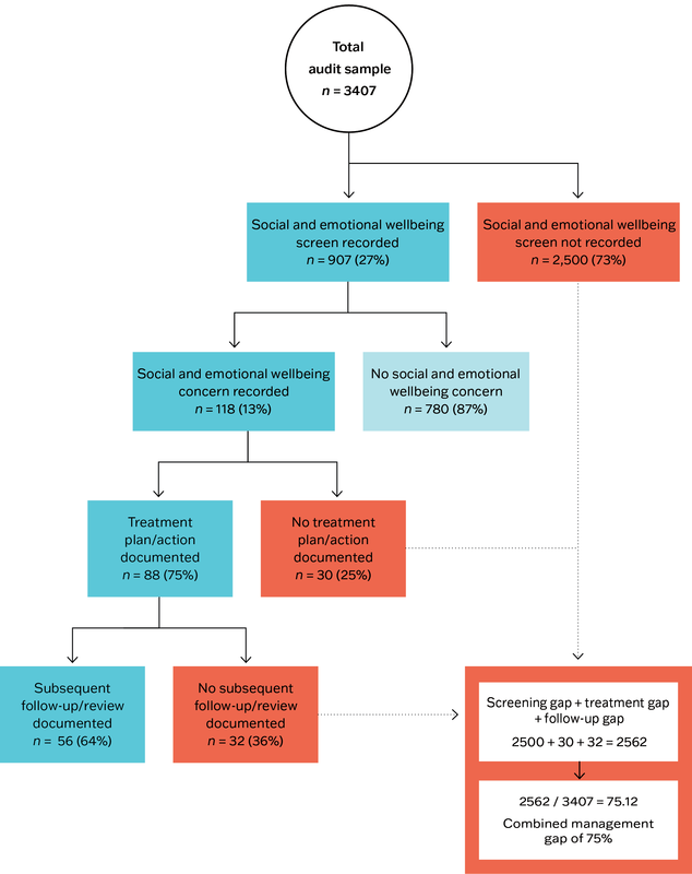 A flow chart showing where gaps in screening, treatment and follow-up for social and emotional wellbeing occur.