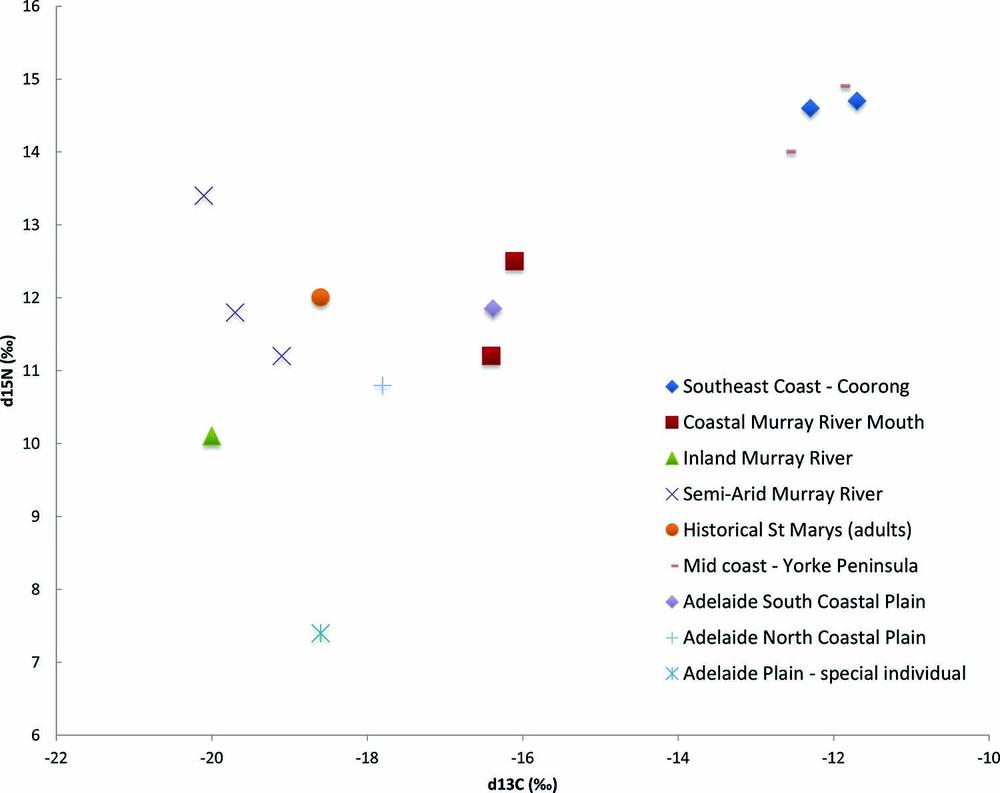 Scatter plot showing d13C on the x-axis and d15N on the y-axis, with coloured shapes representing different regions and groups. A legend on the right lists the following categories: Southeast Coast – Coorong; Coastal Murray River Mouth; Inland Murray River; Semi-Arid Murray River; Historical St Marys (adults); Mid coast – Yorke Peninsula; and Adelaide South Coastal Plain; Adelaide North Coastal Plain; and Adelaide Plain – Special Individual.