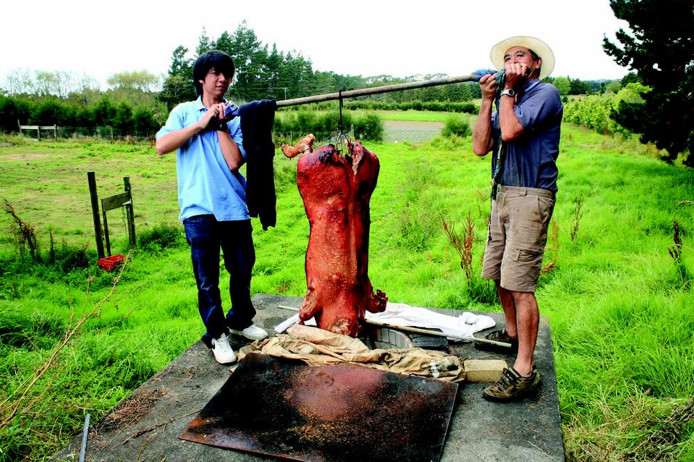 Photograph of two men holding up a horizontal pole with a large pig carcass hanging from it. They are standing above a pit in a field, surrounded by grass. In the background are trees, shrubs, part of a fence and a small body of water.