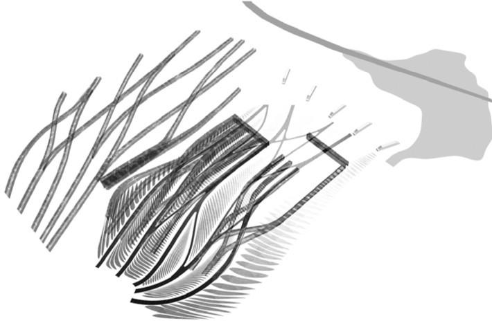 An infrastructural water diagram.