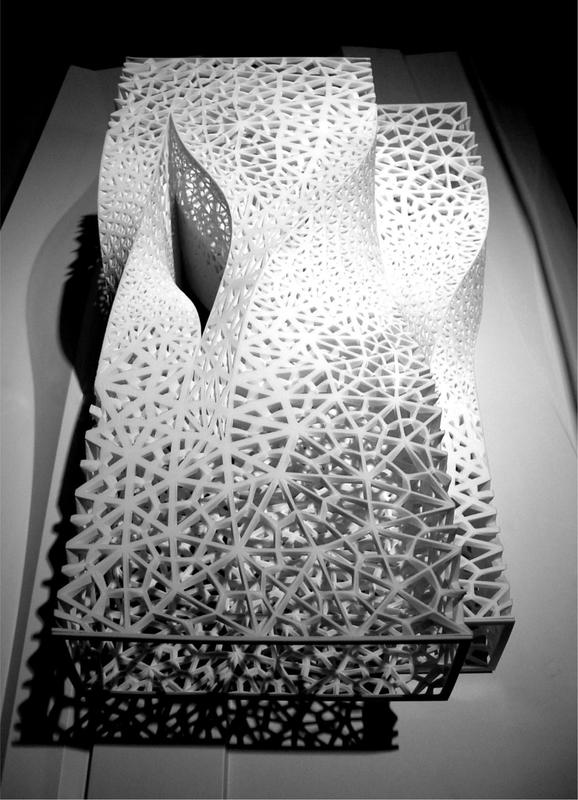Physical SLS Model of Skin Network.