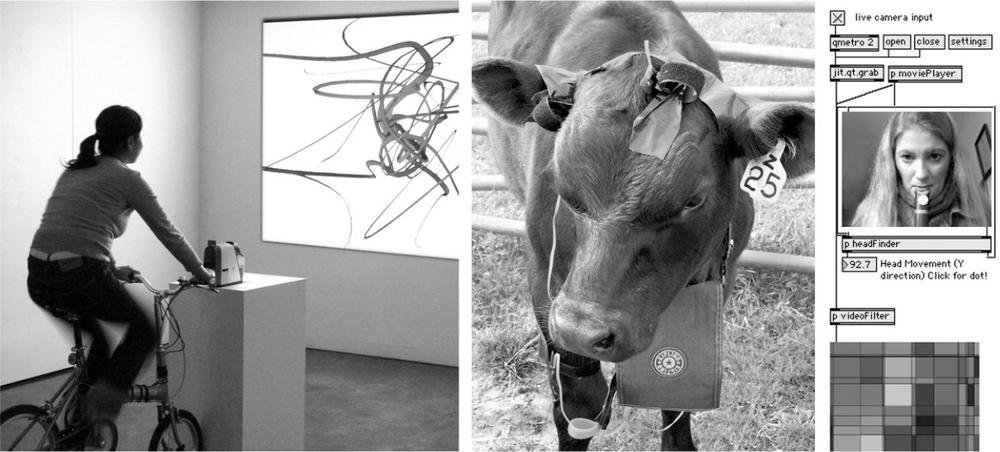 Image to the left of a fluid velocityinstallation. In the centre an image of a cow with a number tagged on his ear and a sensor machine around his neck. To the right is an image of a girl using a sonification system triggered by sound and computer vision.