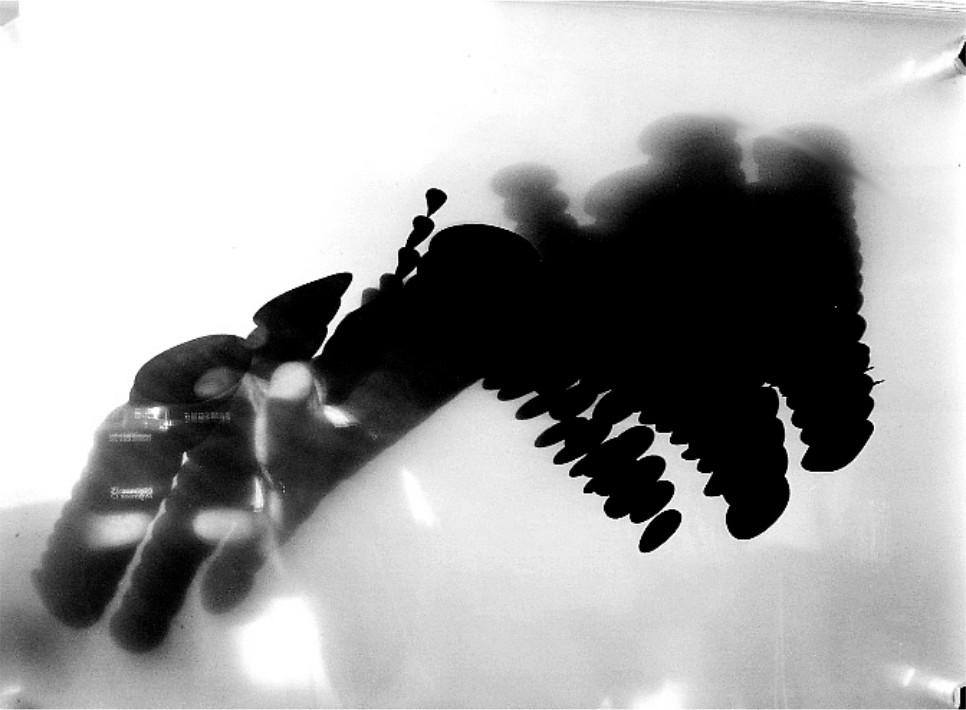 Abstract black cloudy shape.