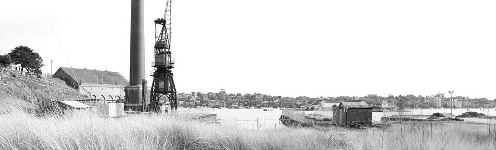 An image of a grass area overlooking the water with a building and a crane to the left.