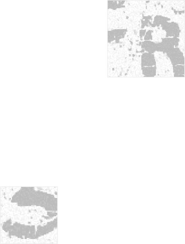 Black and white abstract images.