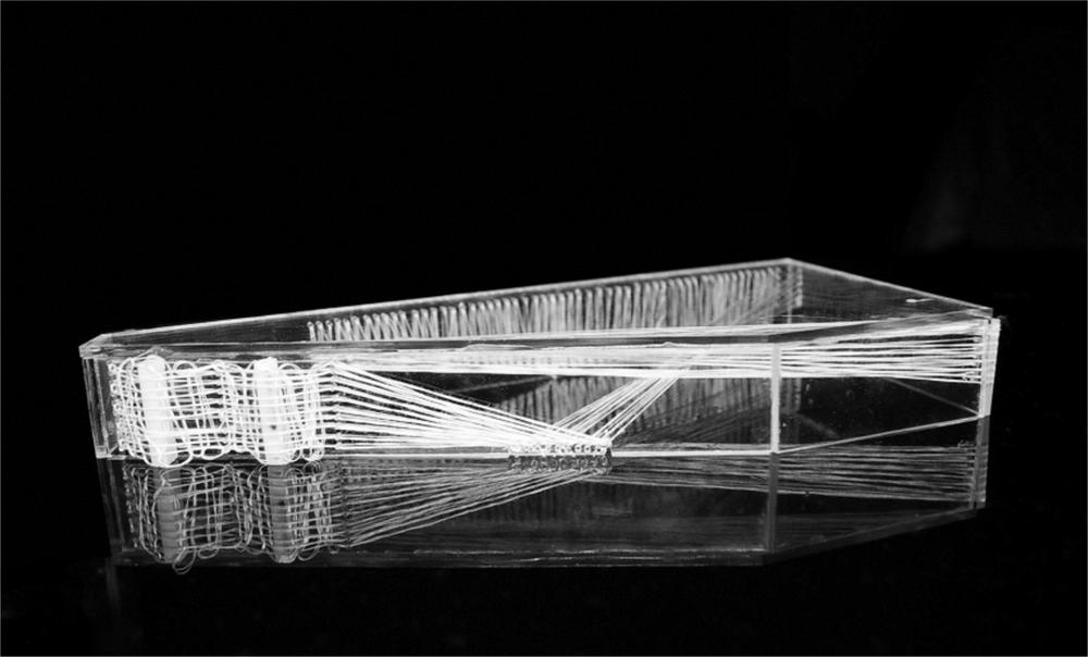 Images of abstract models.