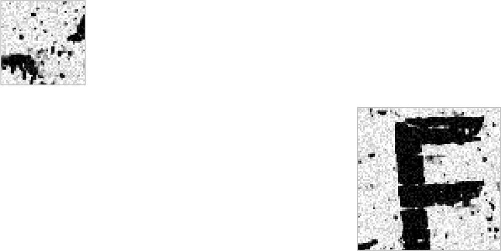 Images of black and white abstract images.