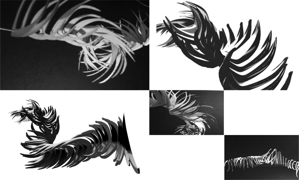 Black and white swirling abstract images.