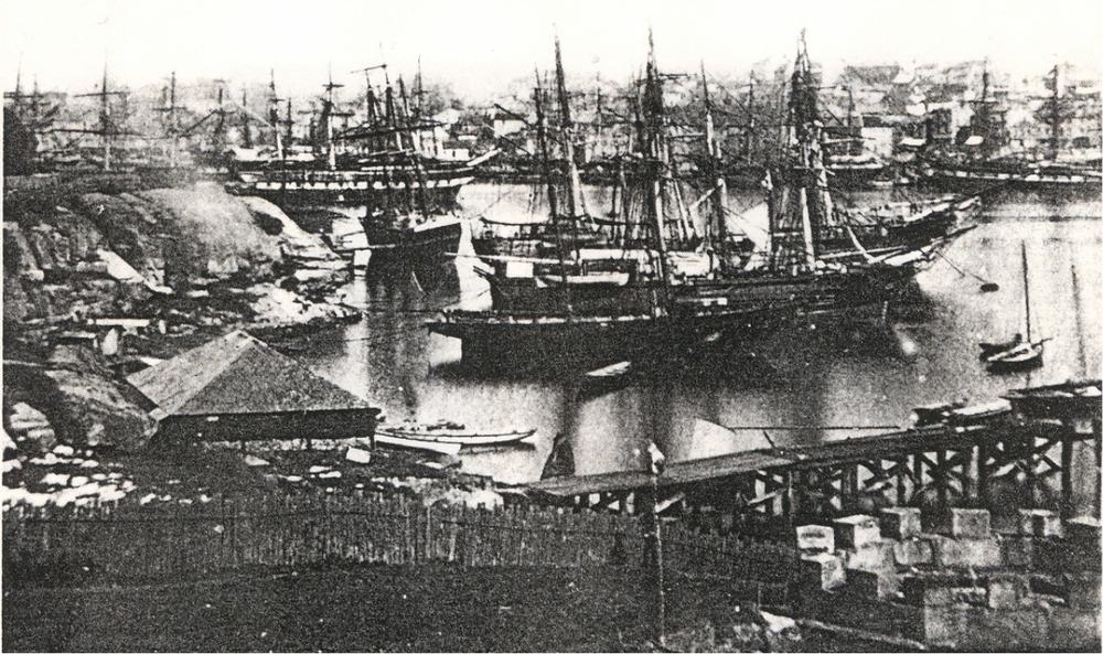 Black and white photograph of Sydney Cove filled with boats.
