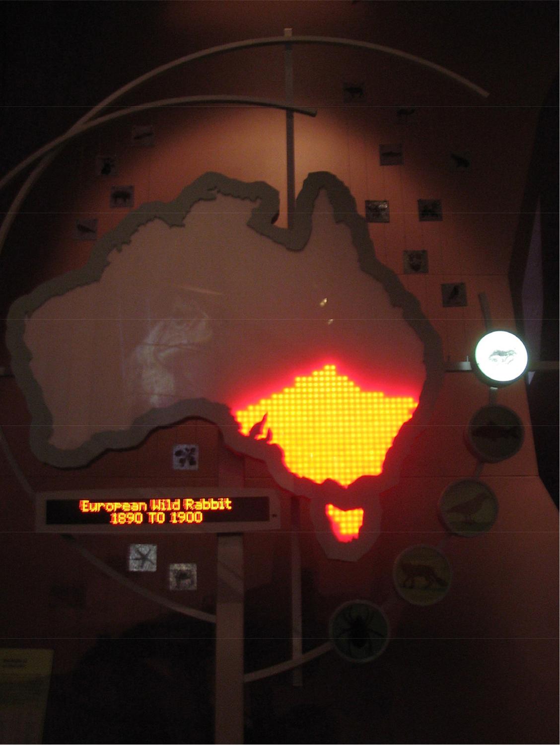 A photograph of a model of Australia with the bottom eastern half of Australia lit up.