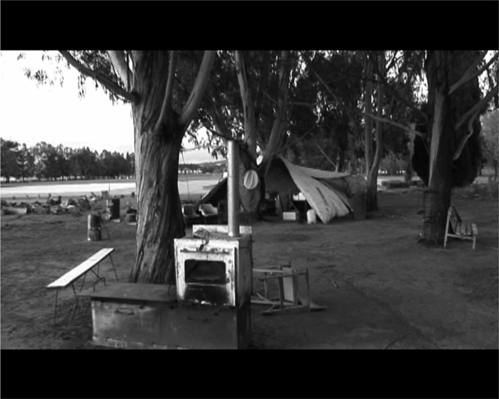 A photograph of a DVD Installation in the outback within the trees.