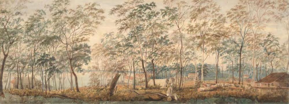 A watercolour painting in soft greens and yellows of a town square, which is in the middle distance, right of centre. The white building with the bell-tower is the church and to its left through the trees is Government house. The house on piles, centre left, is the first hospital, later a storeroom.