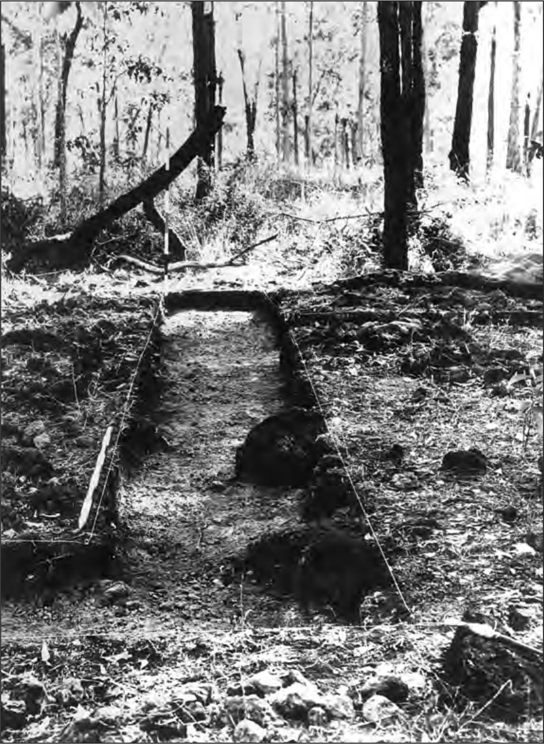 A black and white photograph of a rectangular excavation site amidst trees and rocks.