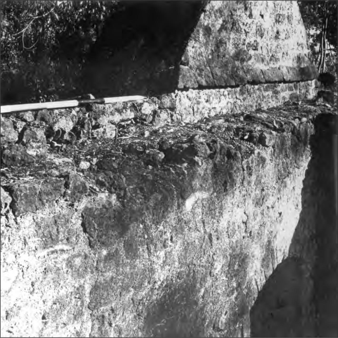 A black and white photograph of the edge of the kitchen's wall.