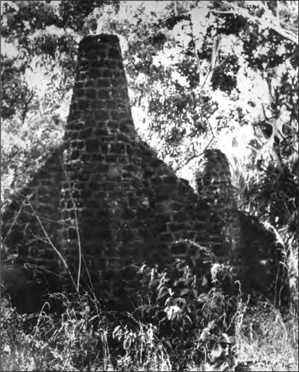 A black and white photograph of a round chimney amidst trees and tall grass.
