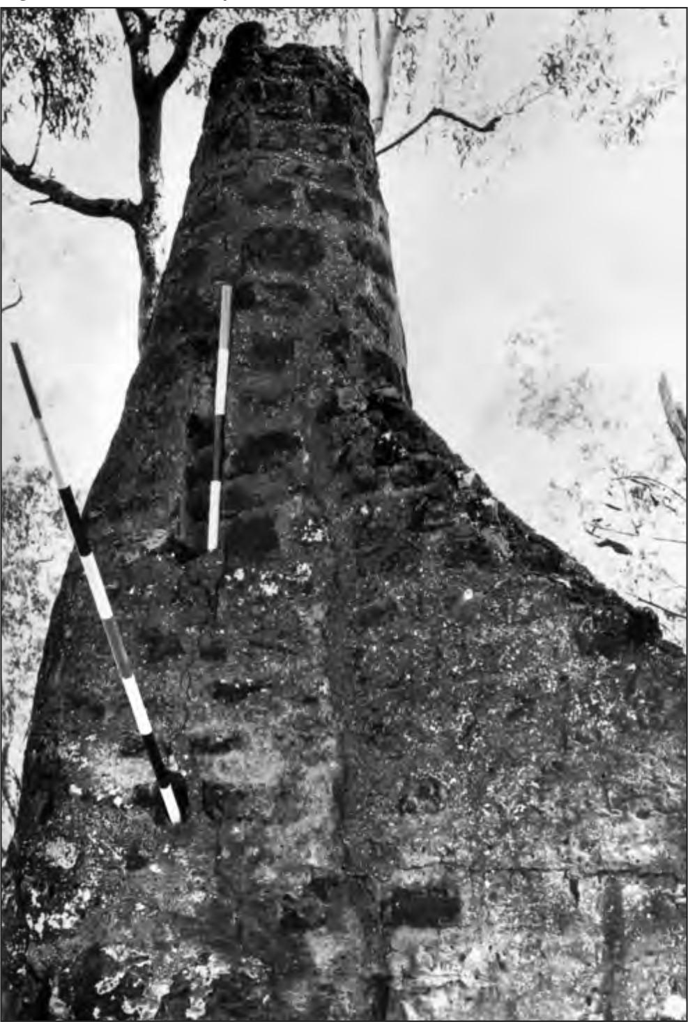 A black and white photograph of a round chimney with the internal sloping rafter hole and the separate triangular section of the upper part of the wall on right, now lost on the left.